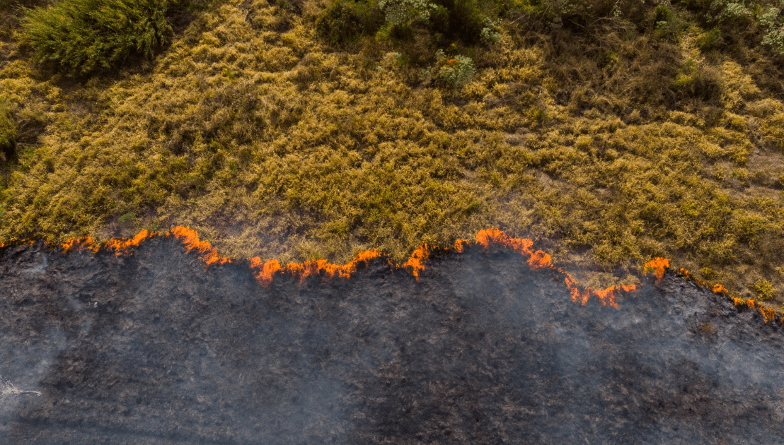 The Impact of Climate Change on Insurance&nbsp;Rates