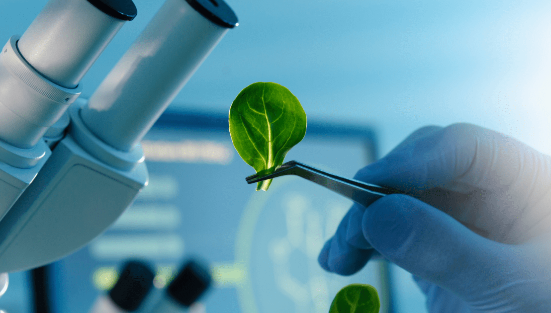 The Impact of Biotechnology and Genetic Engineering on Product Liability Insurance
